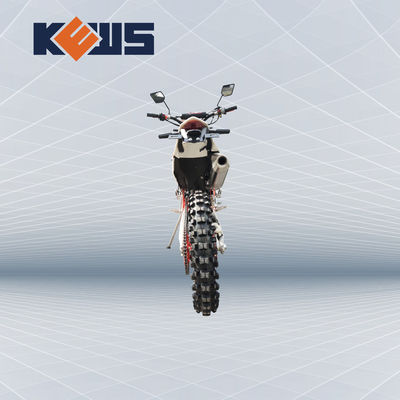 K20 el modelo Euro Bike Motorcycle 300CC aprovisiona de combustible las bicis inyectadas de la suciedad